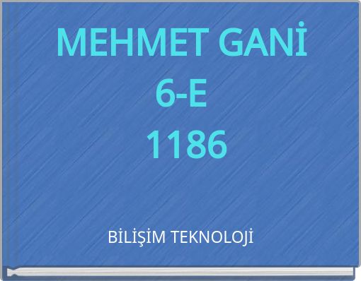 MEHMET GANİ 6-E 1186