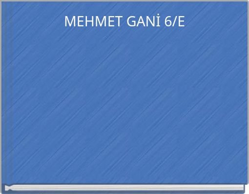 MEHMET GANİ 6/E