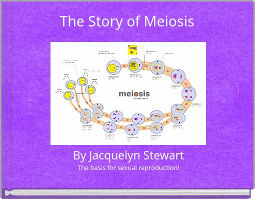 The Story of Meiosis