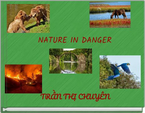 Book Cover for: NATURE IN DANGER
