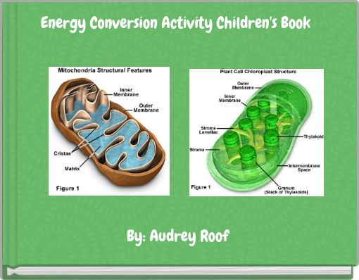 Energy Conversion Activity Children's Book