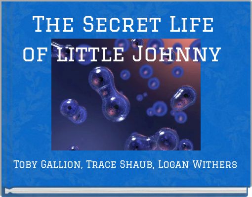 The Secret Life of little Johnny