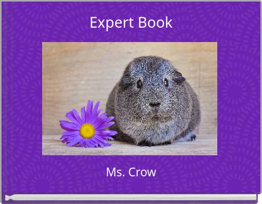 Front cover of 'Expert Book' 