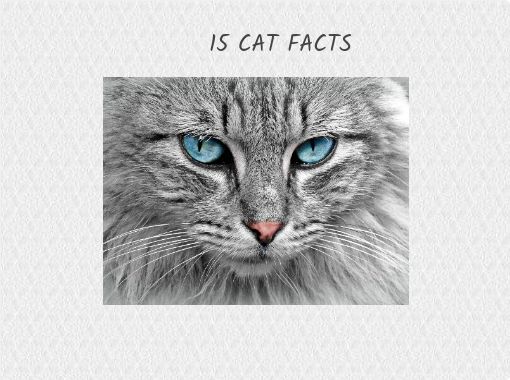 Cat best sale facts free