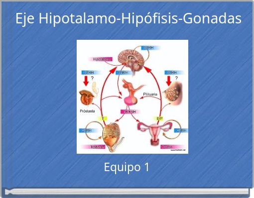 Eje Hipotalamo-Hipófisis-Gonadas
