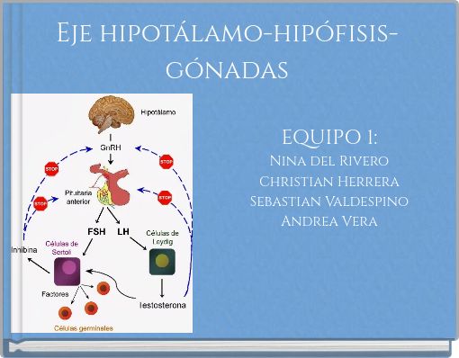 Eje hipot&aacute;lamo-hip&oacute;fisis-g&oacute;nadas