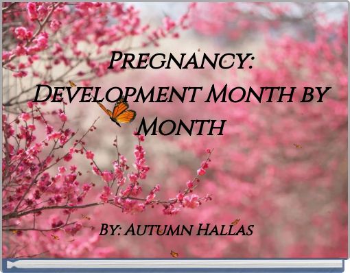 Pregnancy: Development Month by Month