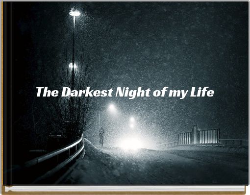 Book Cover for: The Darkest Night of my Life
