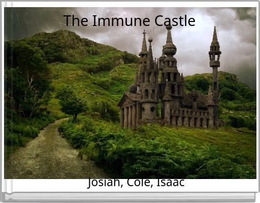The Immune Castle