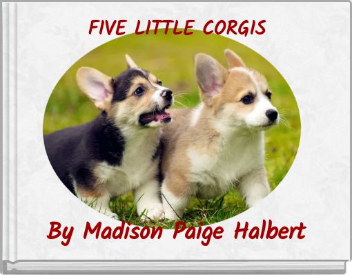 FIVE LITTLE CORGIS