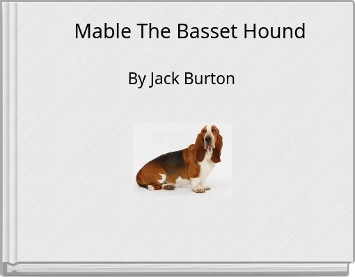 Mable The Basset Hound