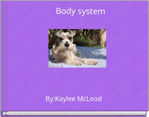 Body system