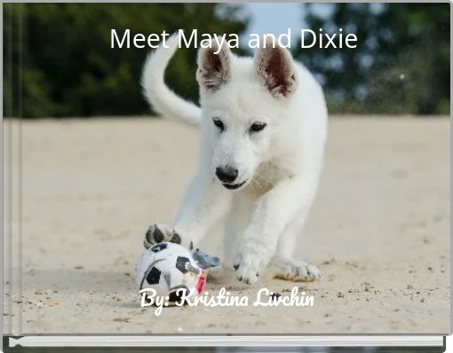 Front cover of 'Meet Maya and Dixie' 