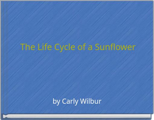 The Life Cycle of a Sunflower