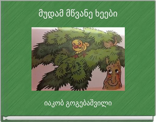 მუდამ მწვანე ხეები