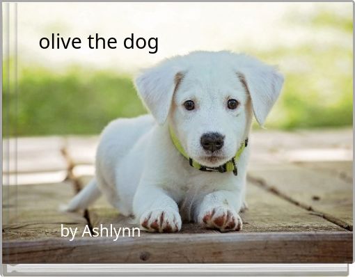 olive the dog