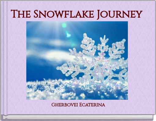 The Snowflake Journey