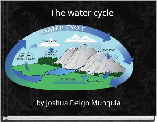 The water cycle