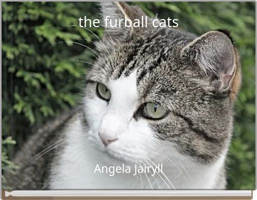 the furball cats