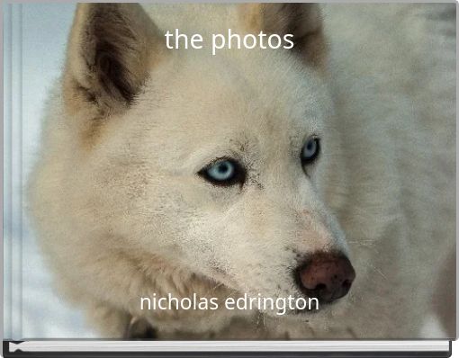 Front cover of 'the photos' 