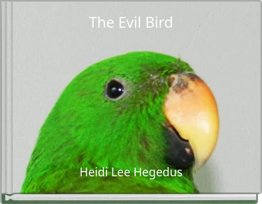 Front cover of 'The Evil Bird' 