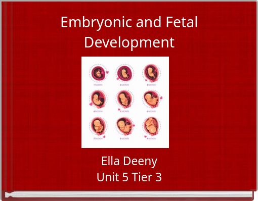 Embryonic and Fetal Development