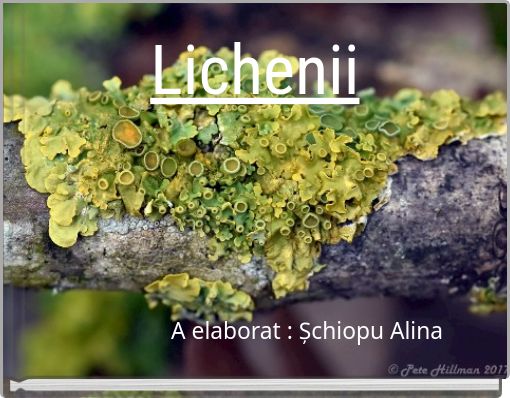 Lichenii