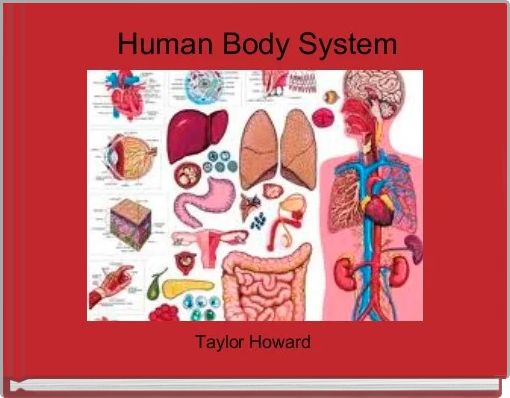 Human Body System