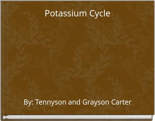 Potassium Cycle