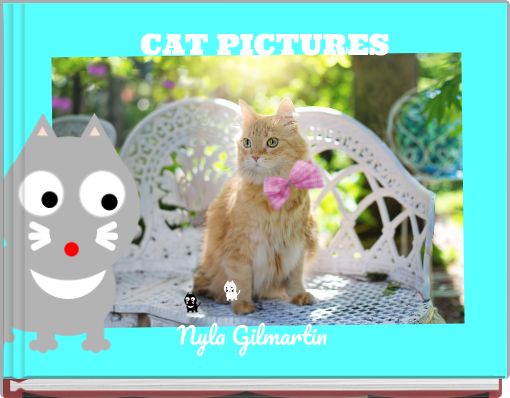 CAT PICTURES