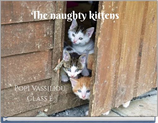 The naughty kittens