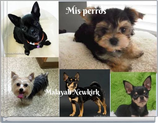 Mis perros