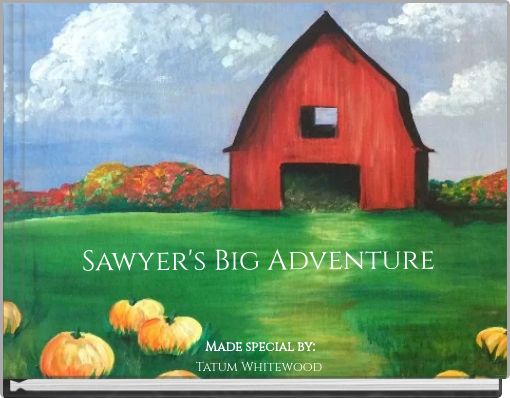 Sawyer's Big Adventure