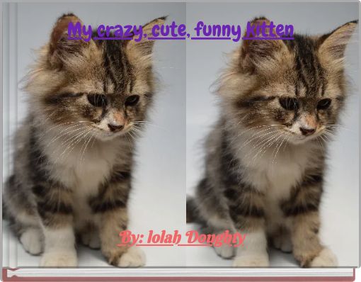 Front cover of 'My crazy, cute, funny kitten' 