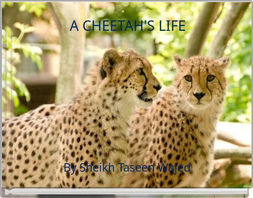 Front cover of 'A CHEETAH'S LIFE' 