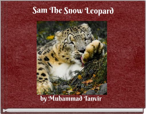 Sam The Snow Leopard