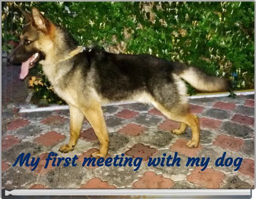 My first meeting with my dog