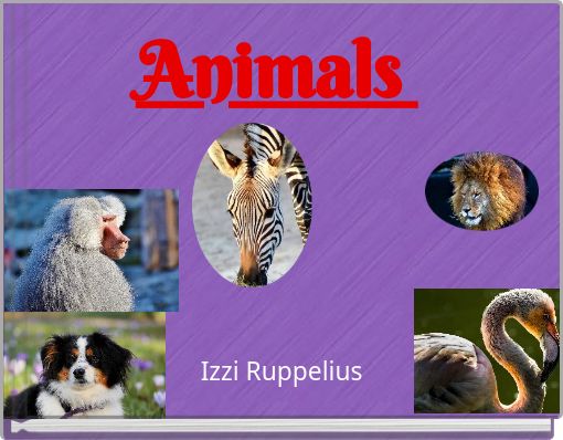 Animals