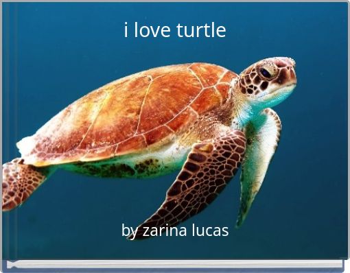 i love turtle