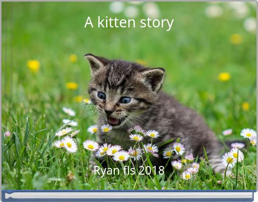 A kitten story