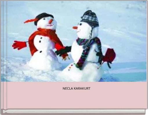 Book Cover for: NECLA KARAKURT