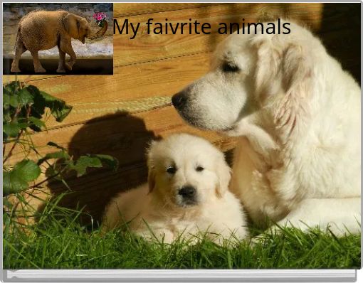 My faivrite animals