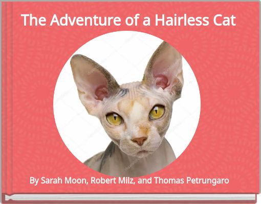 Front cover of 'The Adventure of a Hairless Cat' 