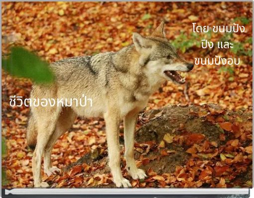 ชีวิตของหมาป่า