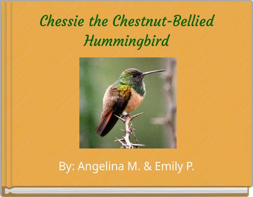 Chessie the Chestnut-Bellied Hummingbird