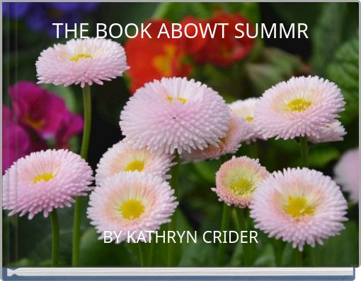 THE BOOK ABOWT SUMMR