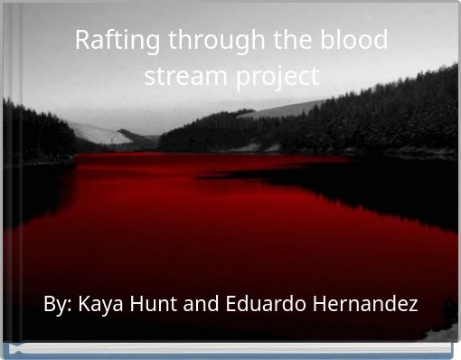 Rafting through the blood stream project