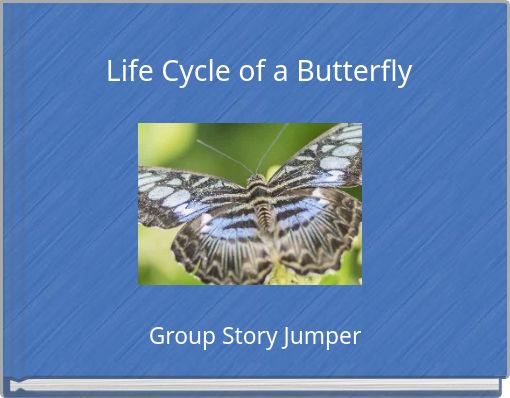 Life Cycle of a Butterfly