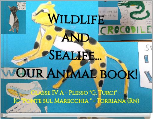 Wildlife and Sealife... Our Animal book!