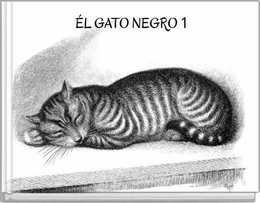 Front cover of 'ÉL GATO NEGRO 1' 
